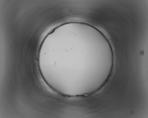 X0000116551392200912311902