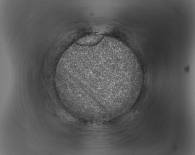 X0000116551393200912311902