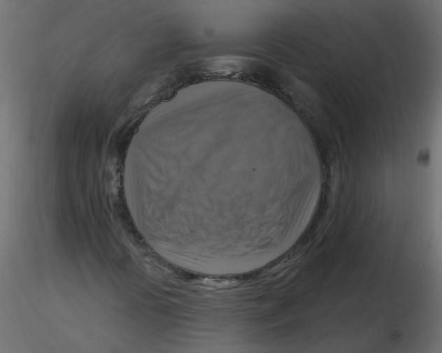 X0000116551394200912311902