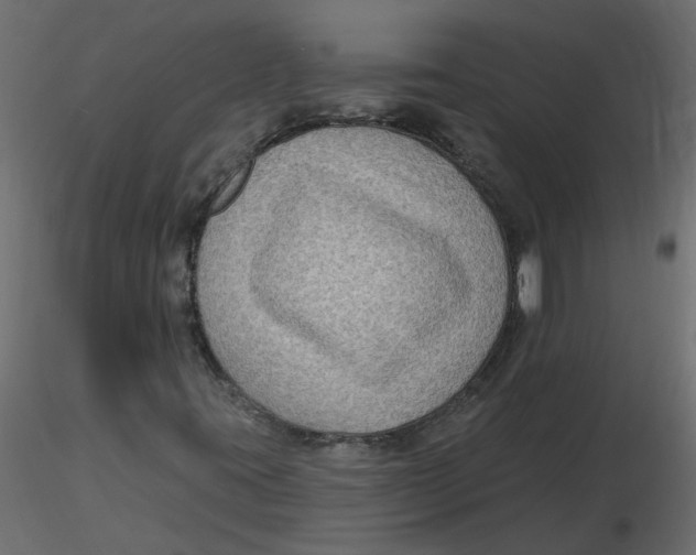 X0000116551395200912311902