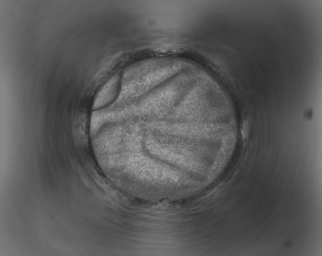 X0000116551396200912311902