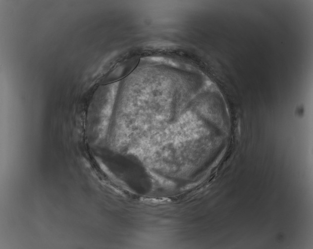 X0000116551397200912311902