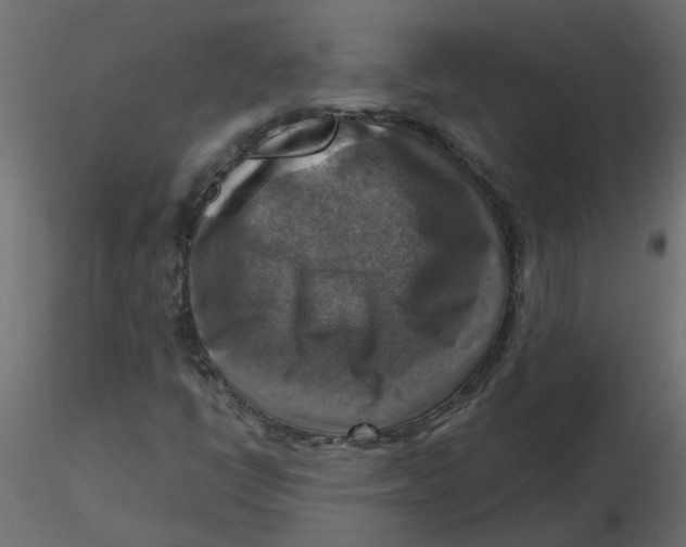 X0000116551398200912311902