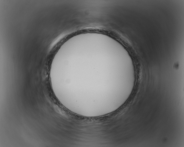 X0000116551400200912311902