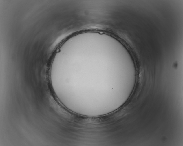 X0000116551404200912311902