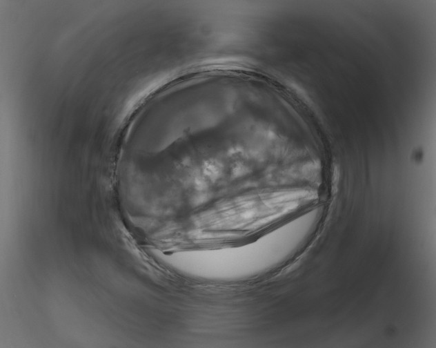 X0000116551405200912311902