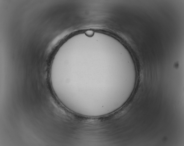 X0000116551406200912311902