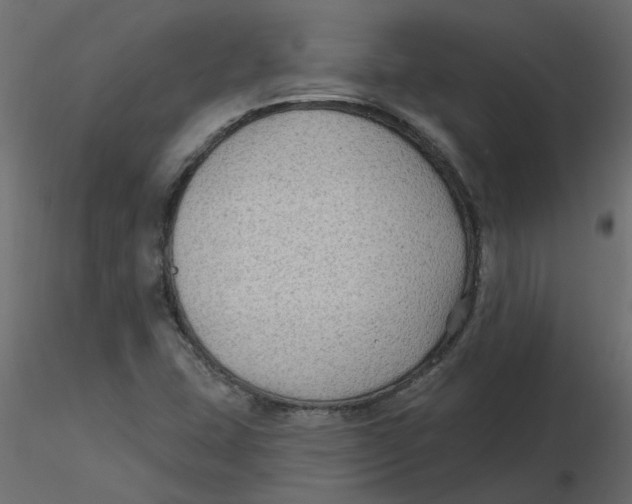 X0000116551407200912311902