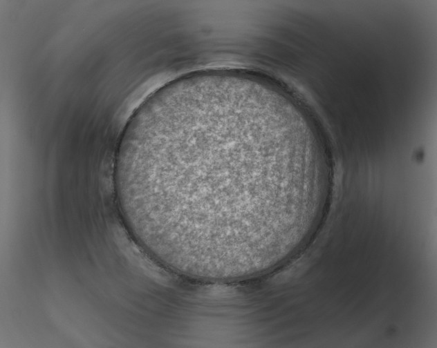 X0000116551409200912311902