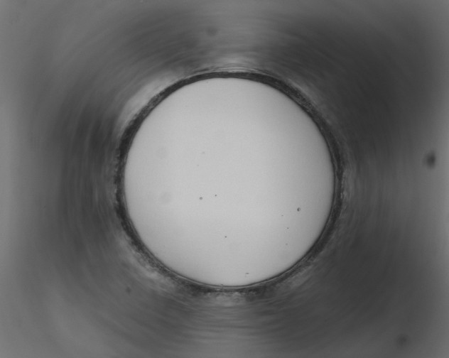 X0000116551410200912311902