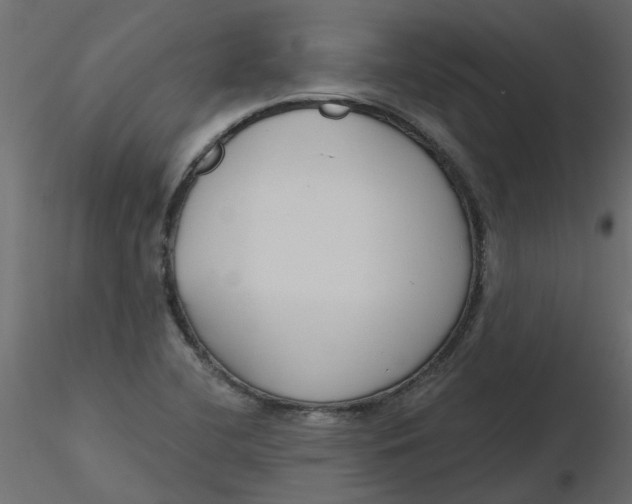 X0000116551412200912311902