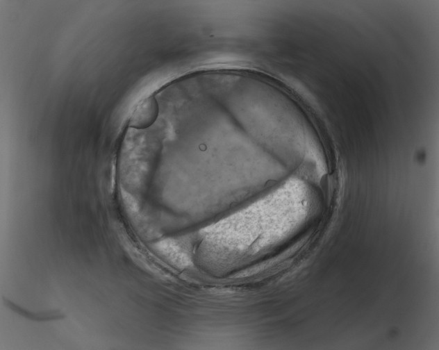 X0000116551413200912311902