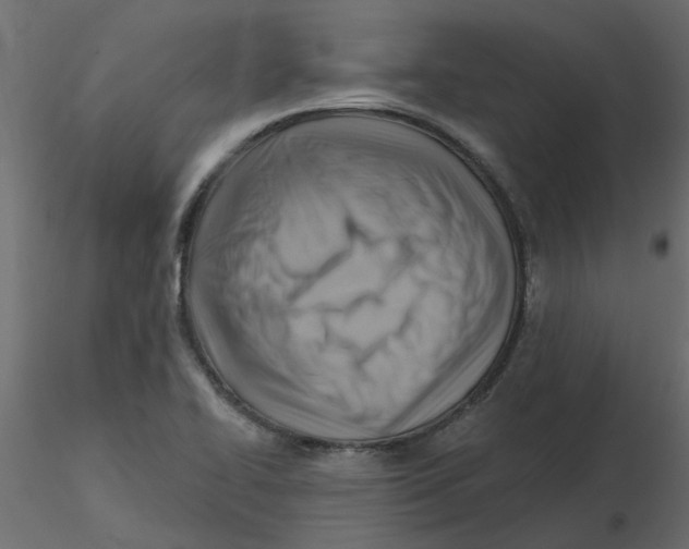 X0000116551414200912311902