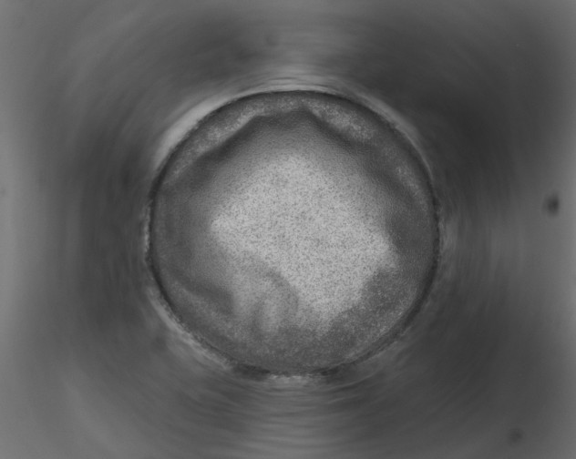 X0000116551415200912311902