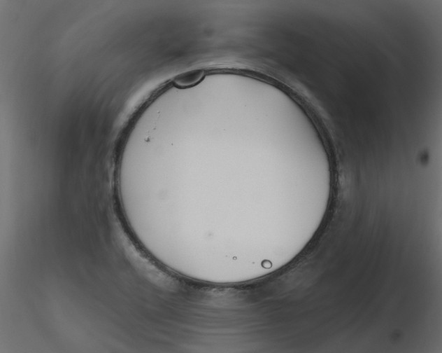 X0000116551416200912311902