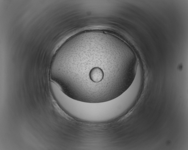 X0000116551417200912311902