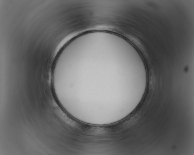 X0000116551420200912311902