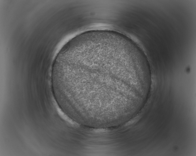 X0000116551421200912311902