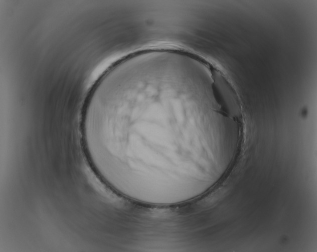 X0000116551422200912311902