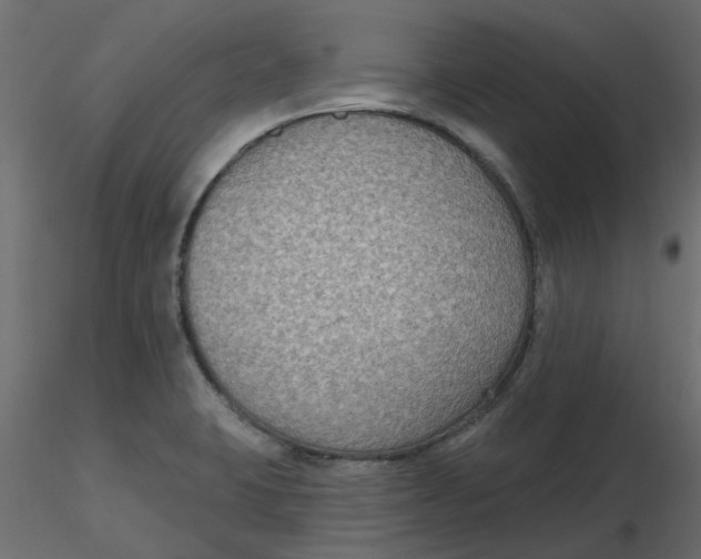 X0000116551423200912311902