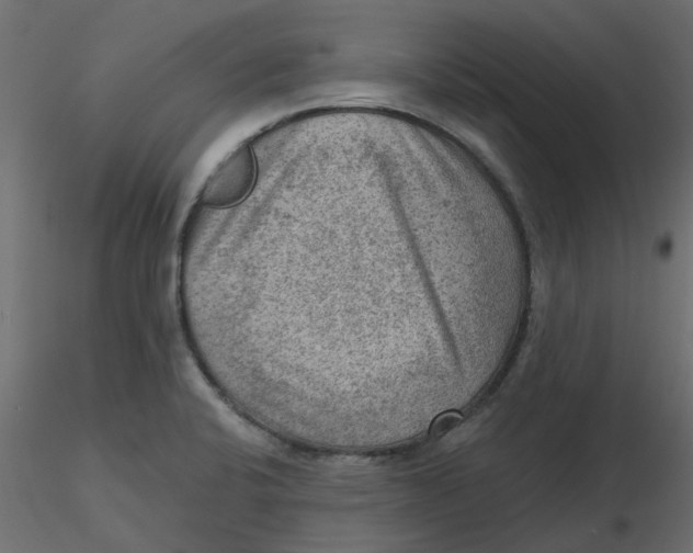 X0000116551424200912311902