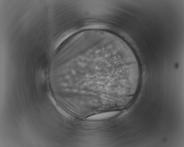 X0000116551425200912311902