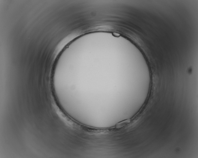 X0000116551426200912311902