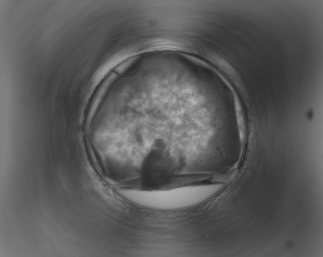 X0000116551427200912311902