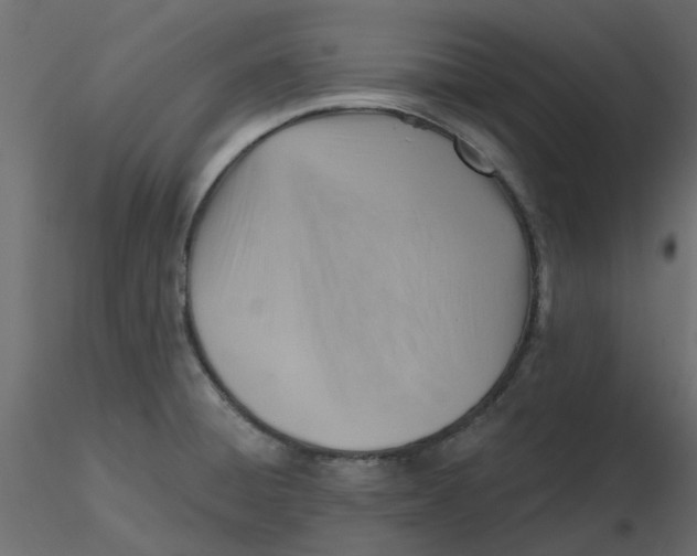 X0000116551428200912311902