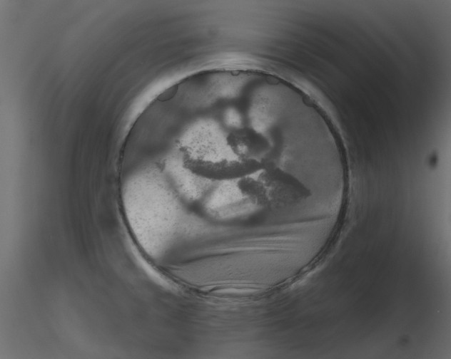 X0000116551429200912311902