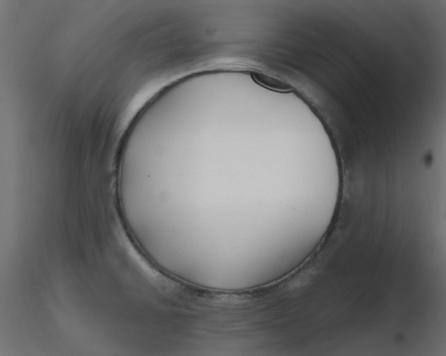 X0000116551430200912311902