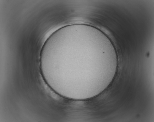 X0000116551431200912311902