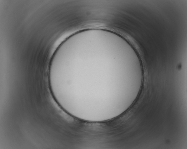 X0000116551432200912311902