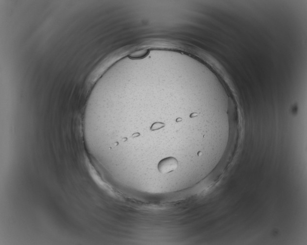 X0000116551433200912311902