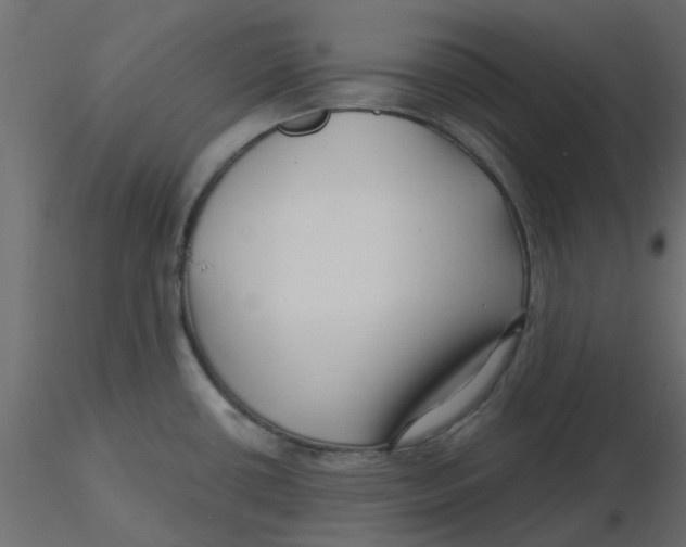 X0000116551434200912311902