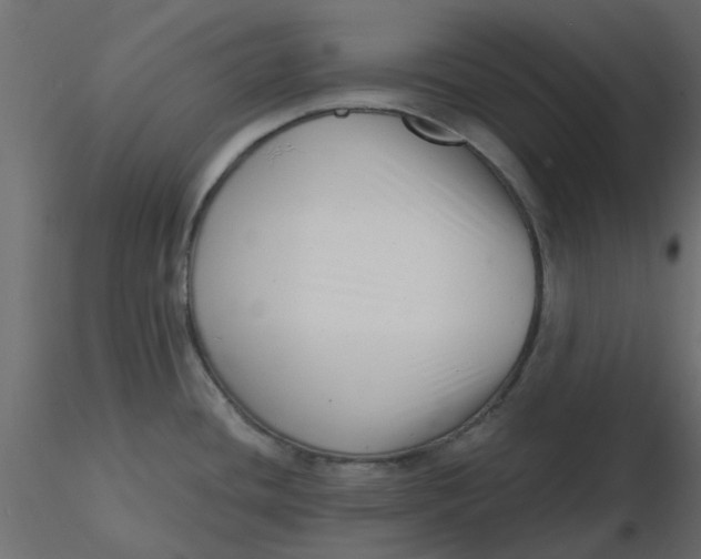 X0000116551436200912311902