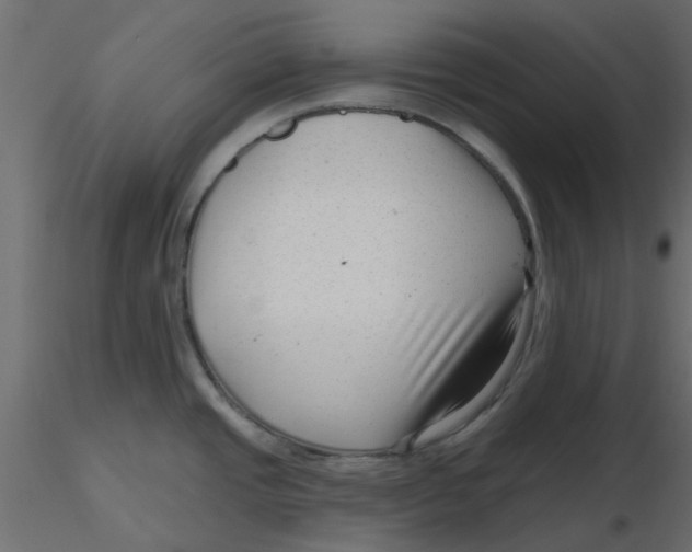 X0000116551437200912311902