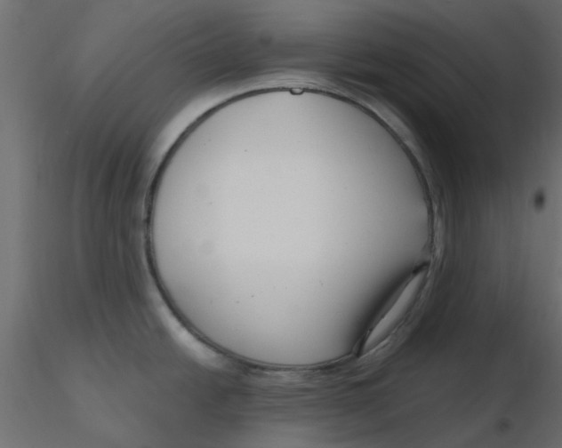 X0000116551438200912311902