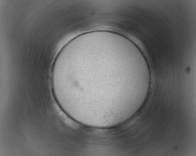 X0000116551439200912311902