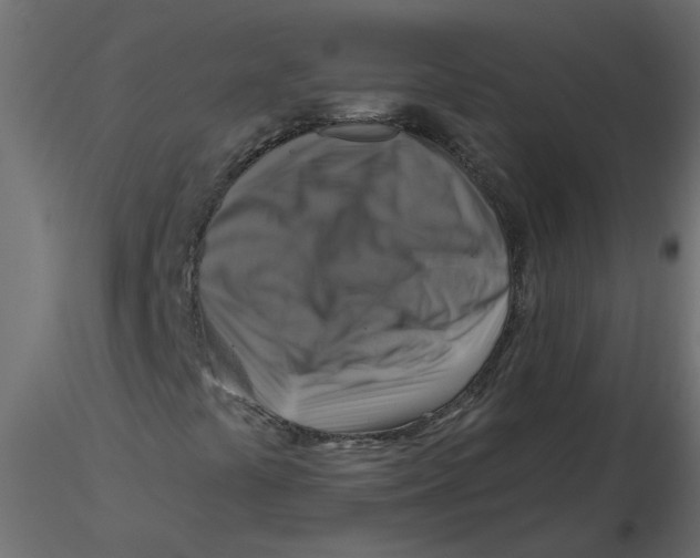 X0000116551441200912311902