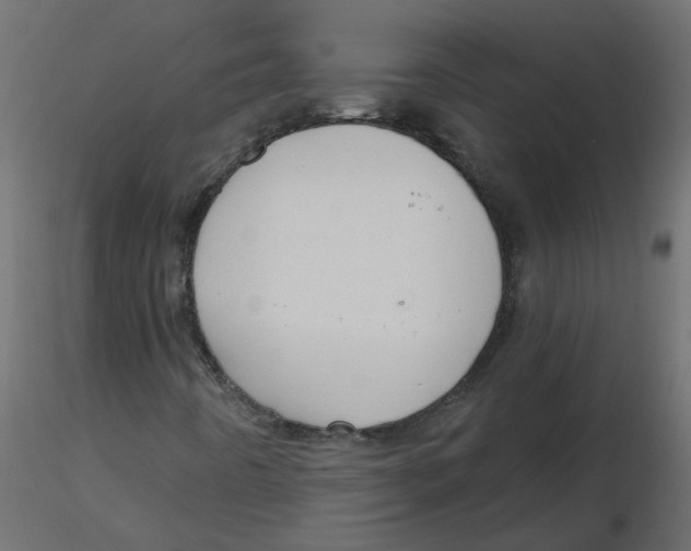 X0000116551442200912311902