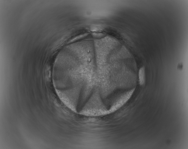 X0000116551443200912311902