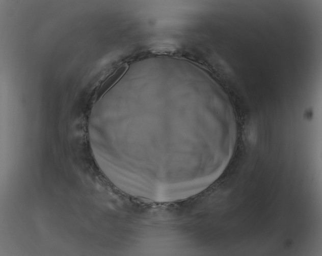 X0000116551445200912311902