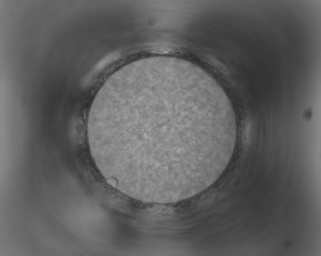 X0000116551446200912311902