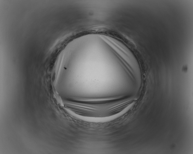 X0000116551447200912311902