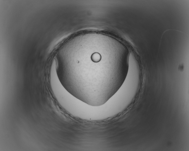 X0000116551448200912311901