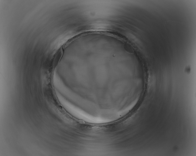 X0000116551449200912311901