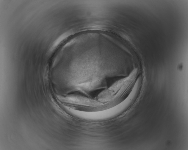 X0000116551450200912311901