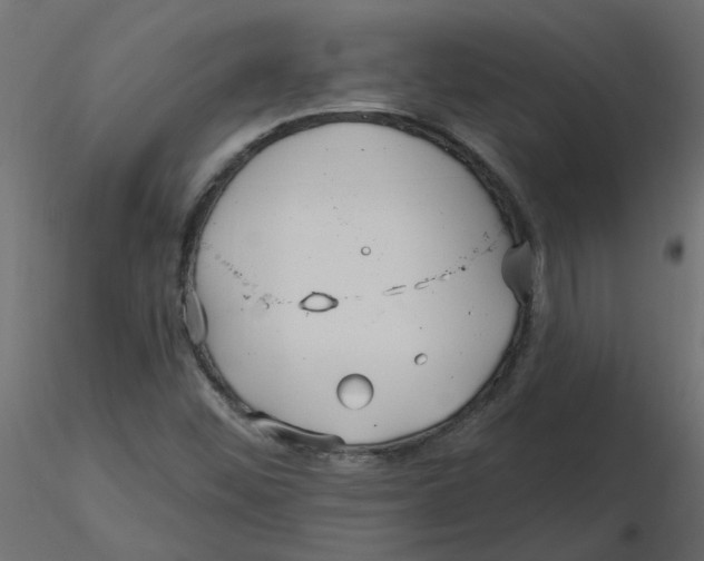 X0000116551452200912311901