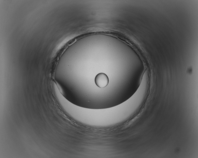 X0000116551453200912311901